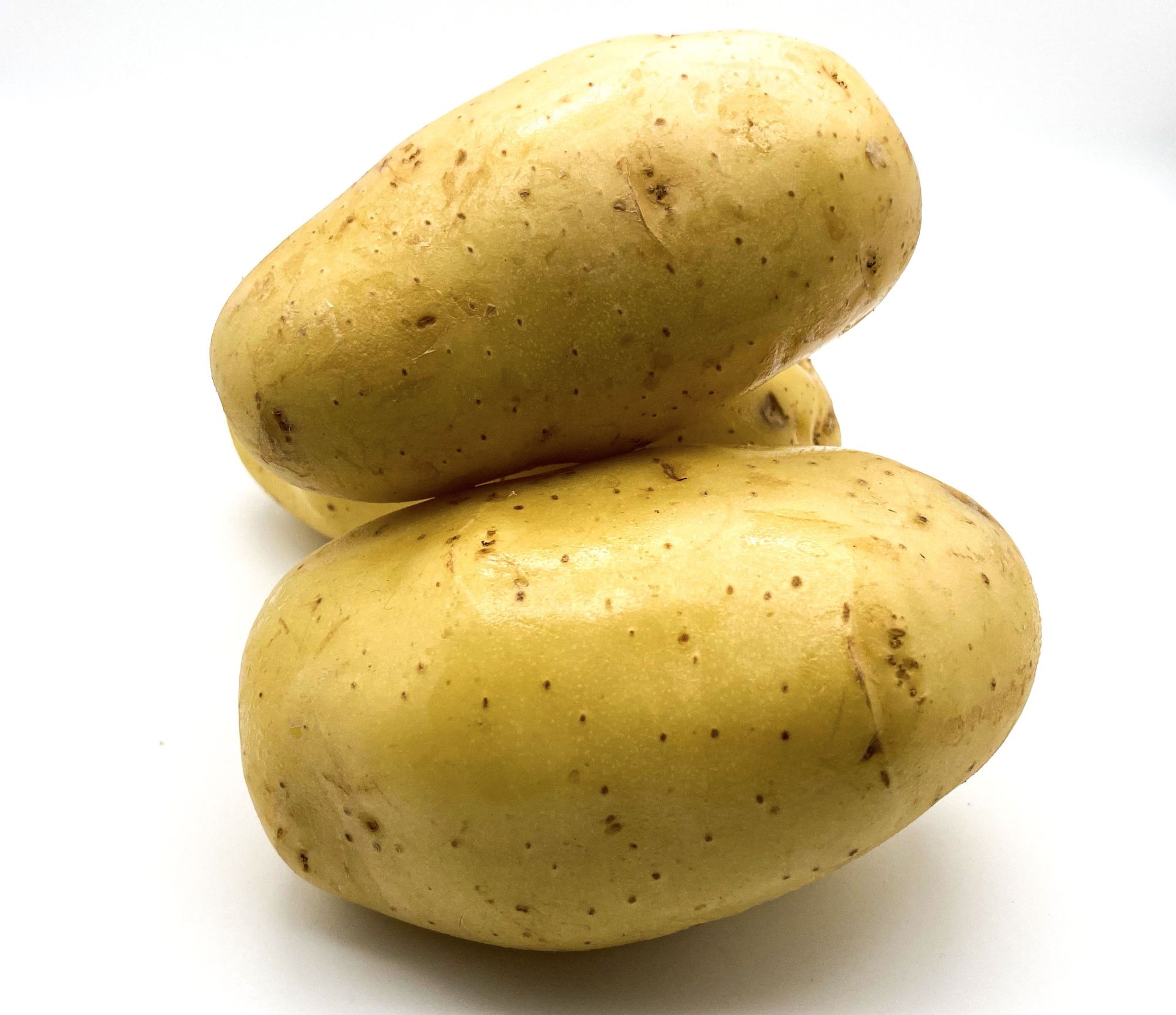 Pomme de Terre Colomba primeur (polyvalente) - Pommes de Terre 185